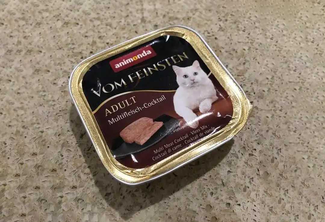 宠物肉泥灌装生产线：源头定制，重塑高效生产新标准