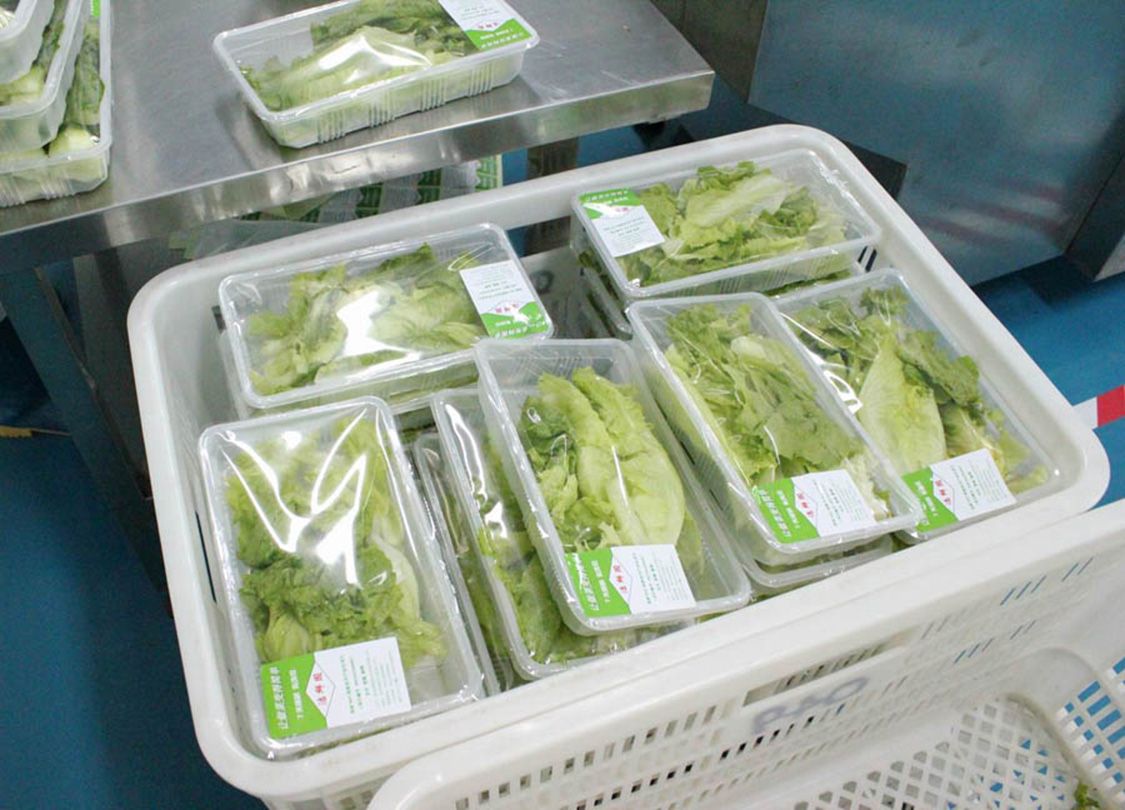 1758100618513792.jpg 新鲜蔬菜02.jpg